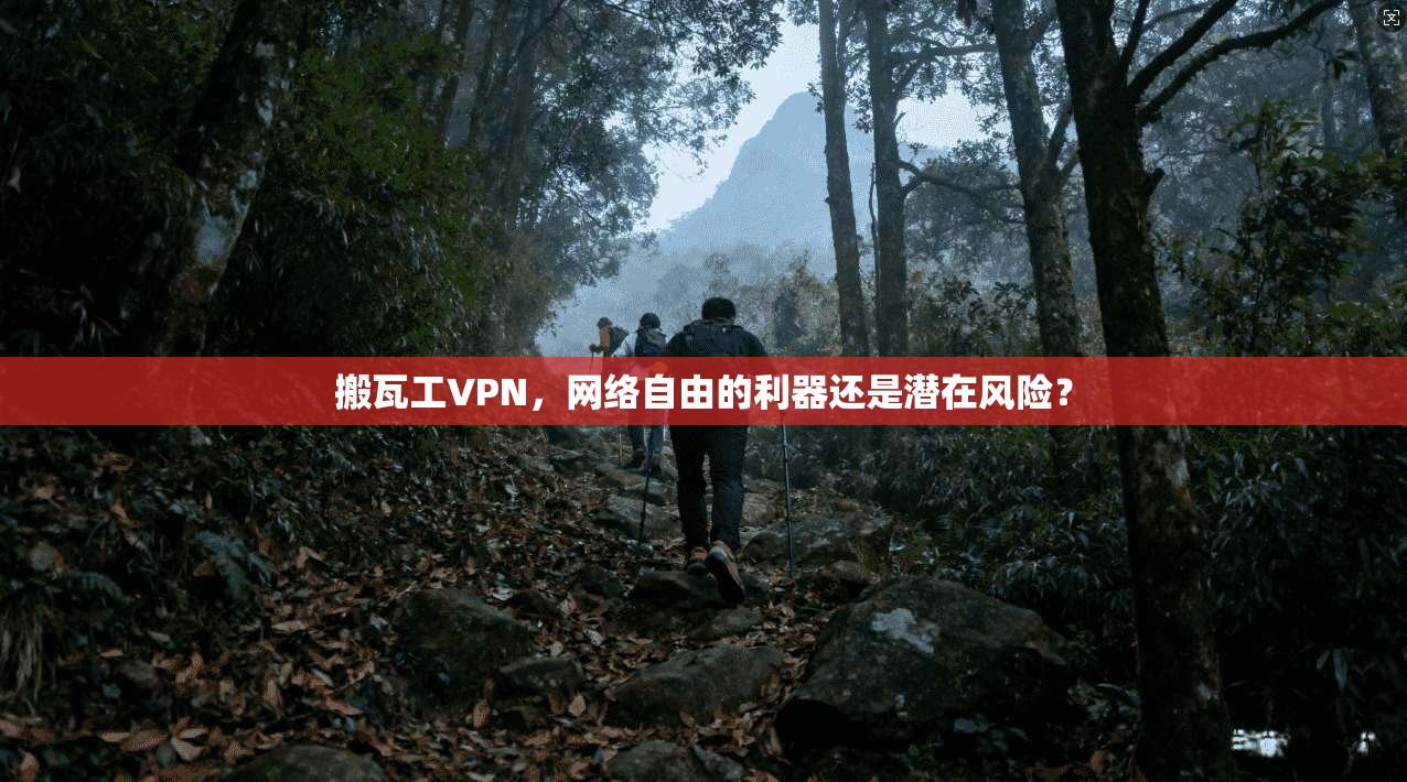 搬瓦工VPN，网络自由的利器还是潜在风险？  第1张
