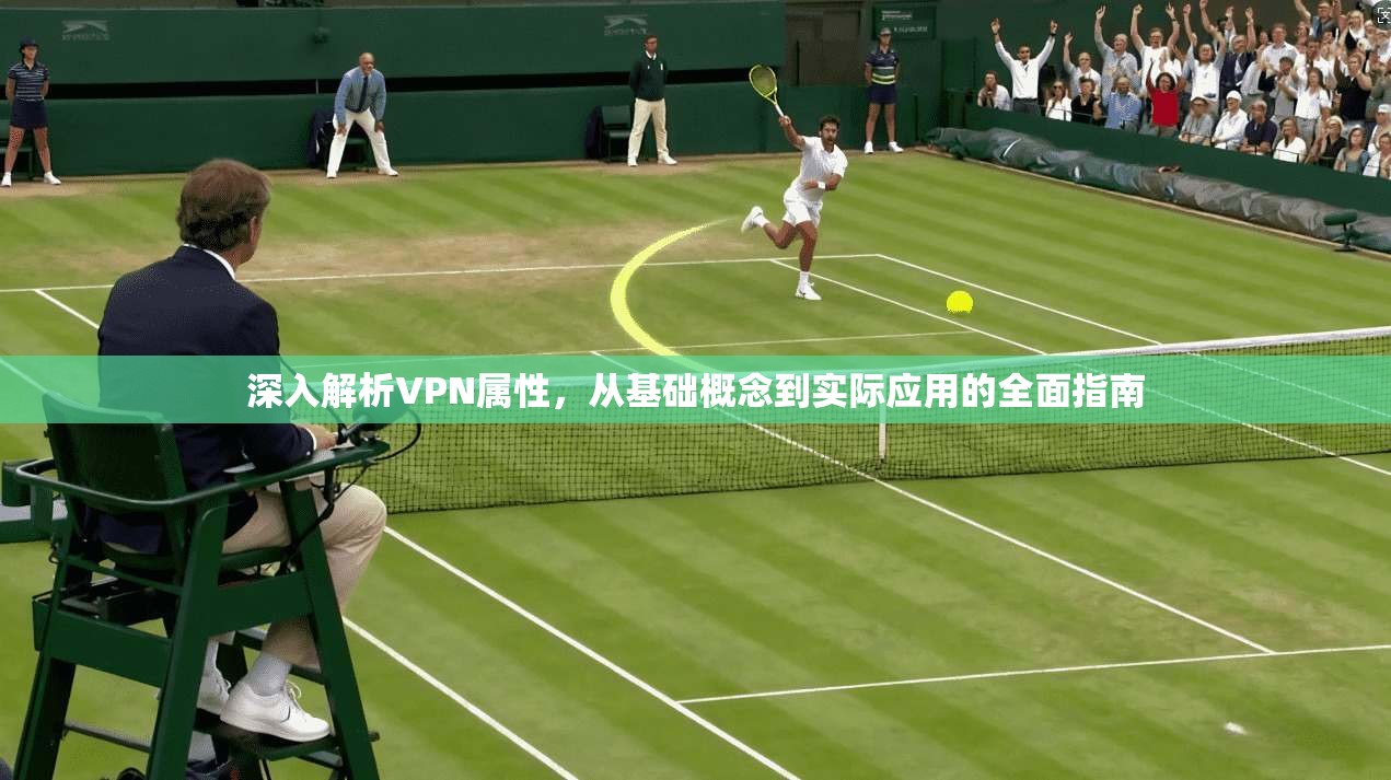 深入解析VPN属性，从基础概念到实际应用的全面指南  第1张