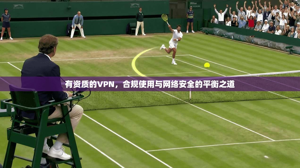有资质的VPN,合规使用与网络安全的平衡之道 第1张 有资质的VPN,合规使用与网络安全的平衡之道 第1张