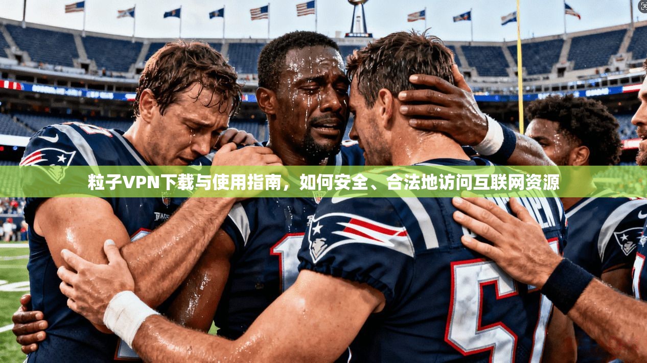 粒子VPN下载与使用指南，如何安全、合法地访问互联网资源  第1张