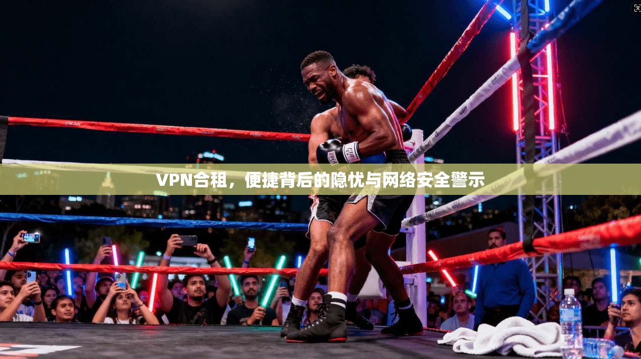 VPN合租，便捷背后的隐忧与网络安全警示  第1张