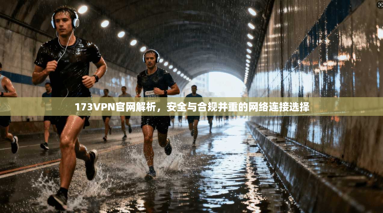 173VPN官网解析,安全与合规并重的网络连接选择 第1张 173VPN官网解析,安全与合规并重的网络连接选择 第1张