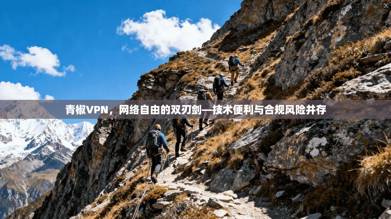 青椒VPN，网络自由的双刃剑—技术便利与合规风险并存  第1张