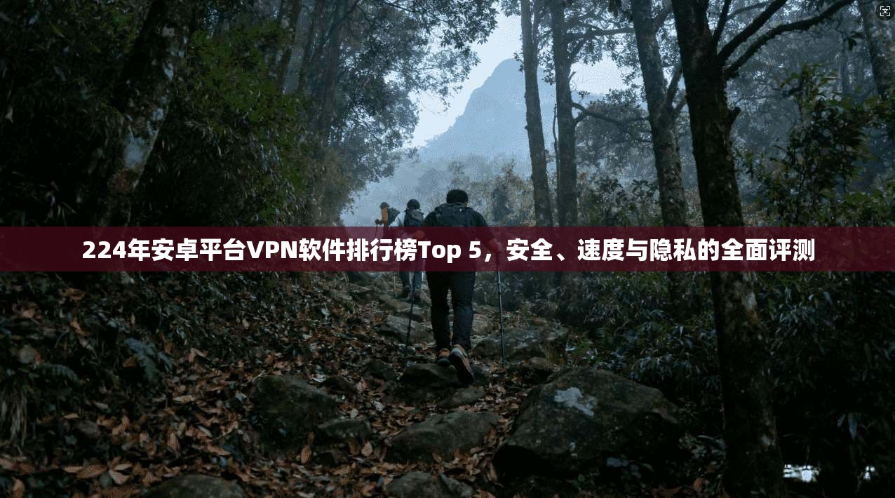 224年安卓平台VPN软件排行榜Top 5，安全、速度与隐私的全面评测  第1张