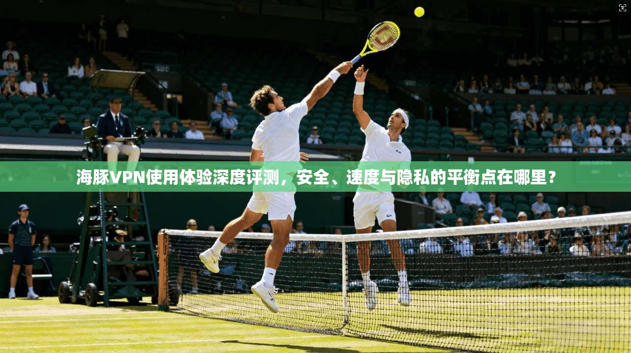 海豚VPN使用体验深度评测，安全、速度与隐私的平衡点在哪里？  第1张