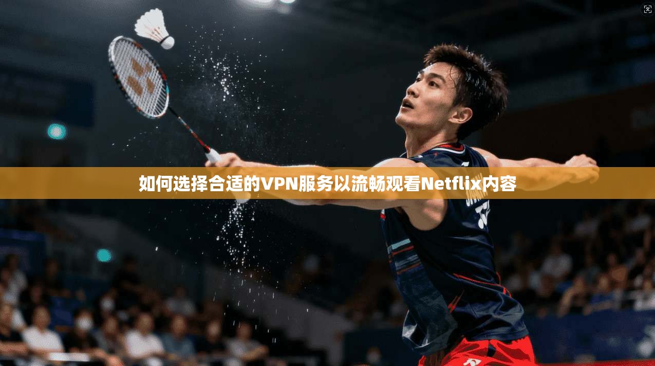 如何选择合适的VPN服务以流畅观看Netflix内容 第1张 如何选择合适的VPN服务以流畅观看Netflix内容 第1张