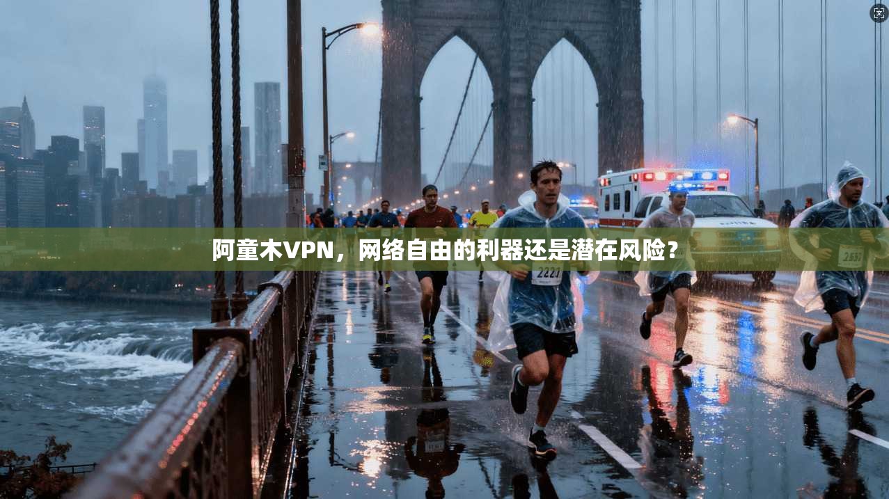 阿童木VPN,网络自由的利器还是潜在风险? 第1张 阿童木VPN,网络自由的利器还是潜在风险? 第1张