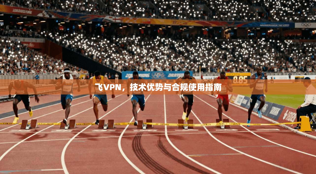 飞VPN,技术优势与合规使用指南 第1张 飞VPN,技术优势与合规使用指南 第1张