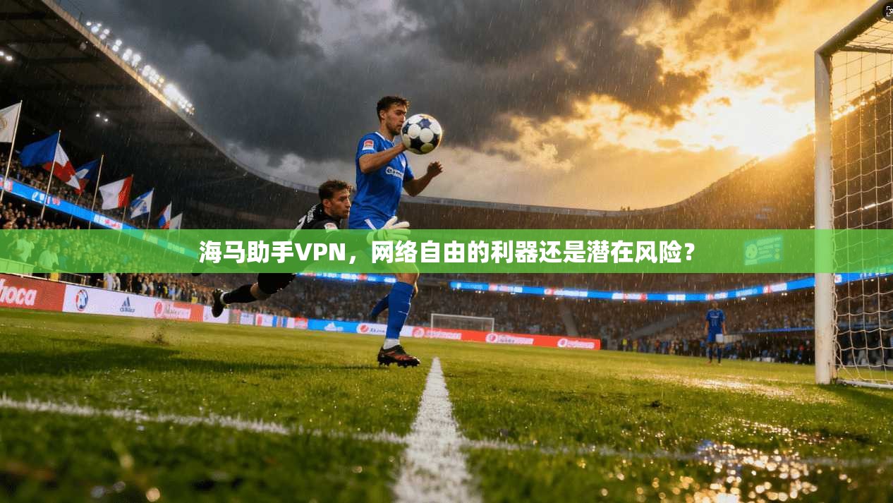 海马助手VPN，网络自由的利器还是潜在风险？  第1张