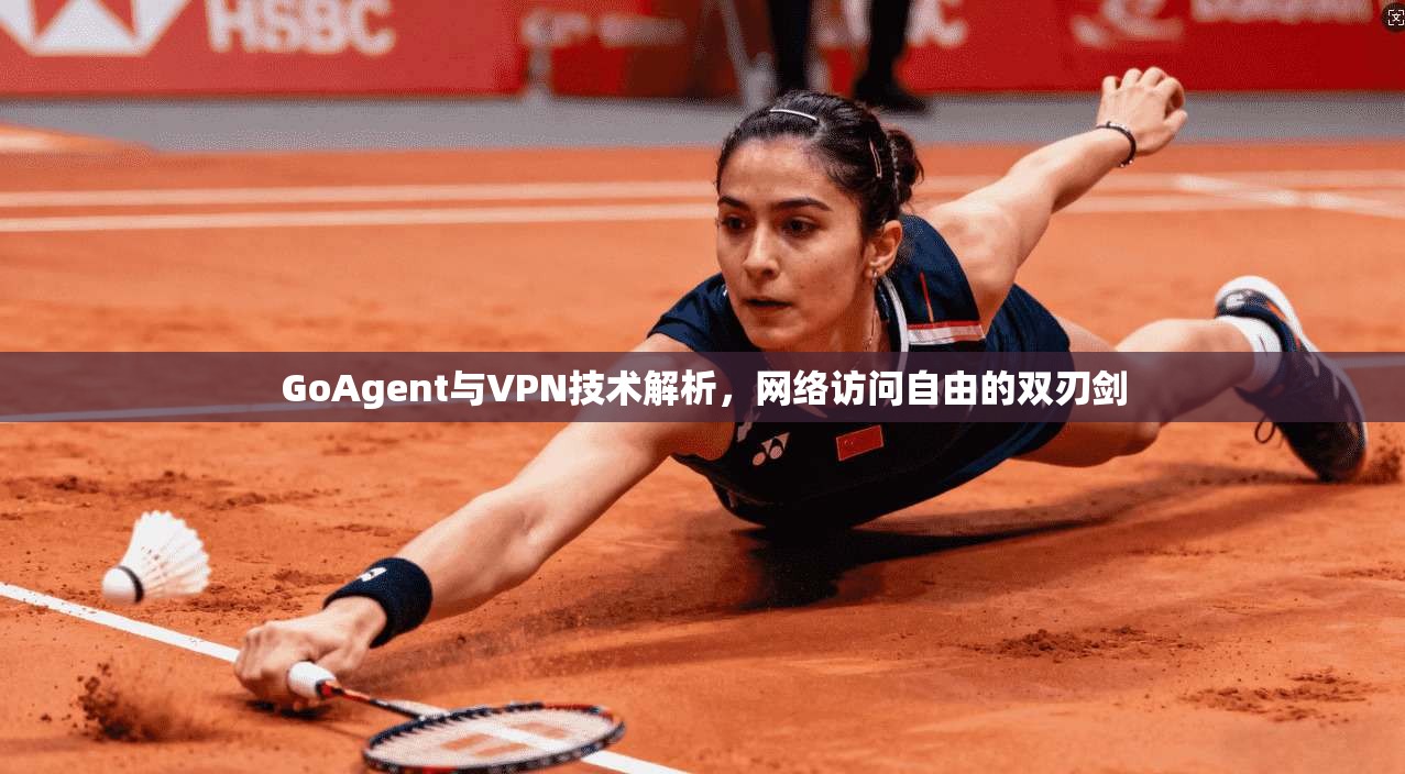 GoAgent与VPN技术解析，网络访问自由的双刃剑  第1张