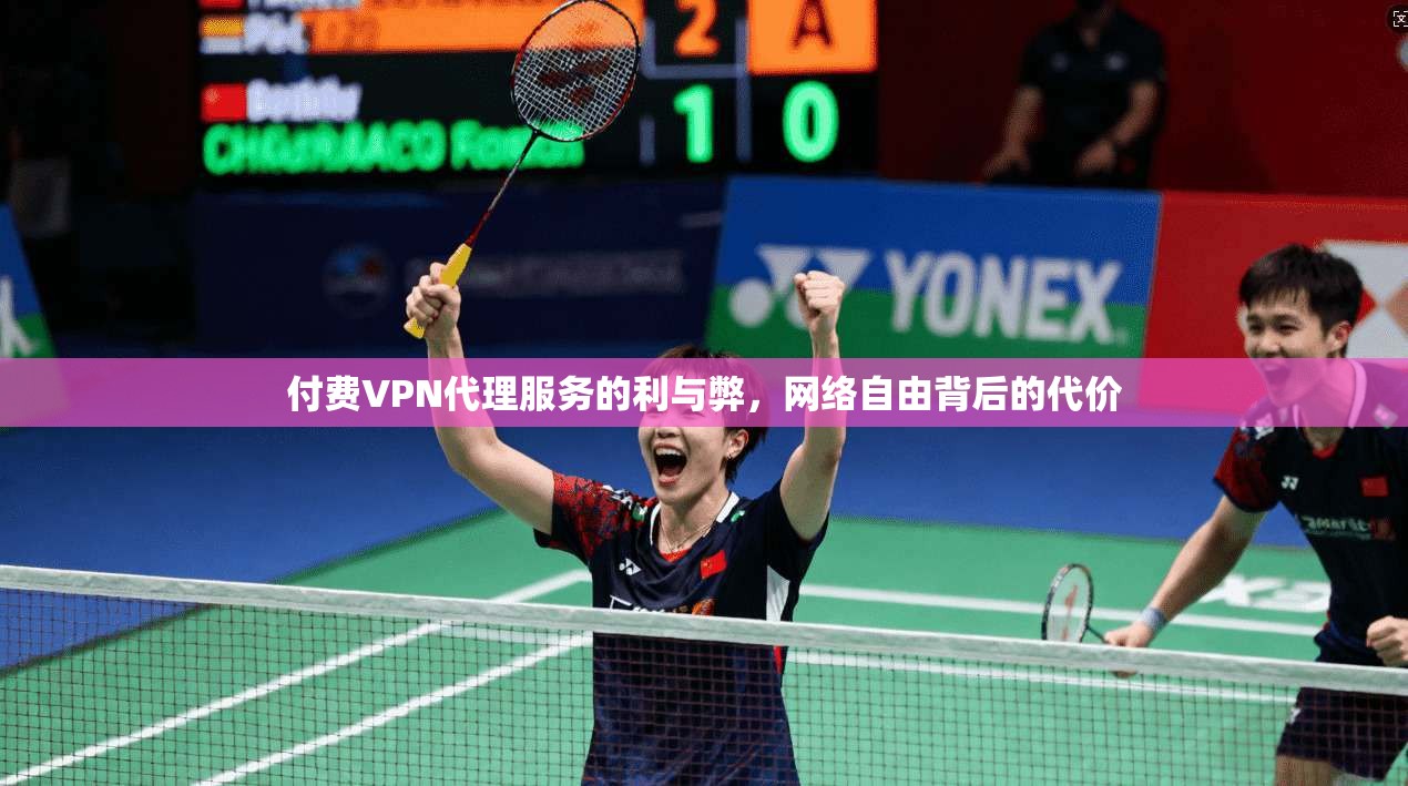 付费VPN代理服务的利与弊，网络自由背后的代价  第1张