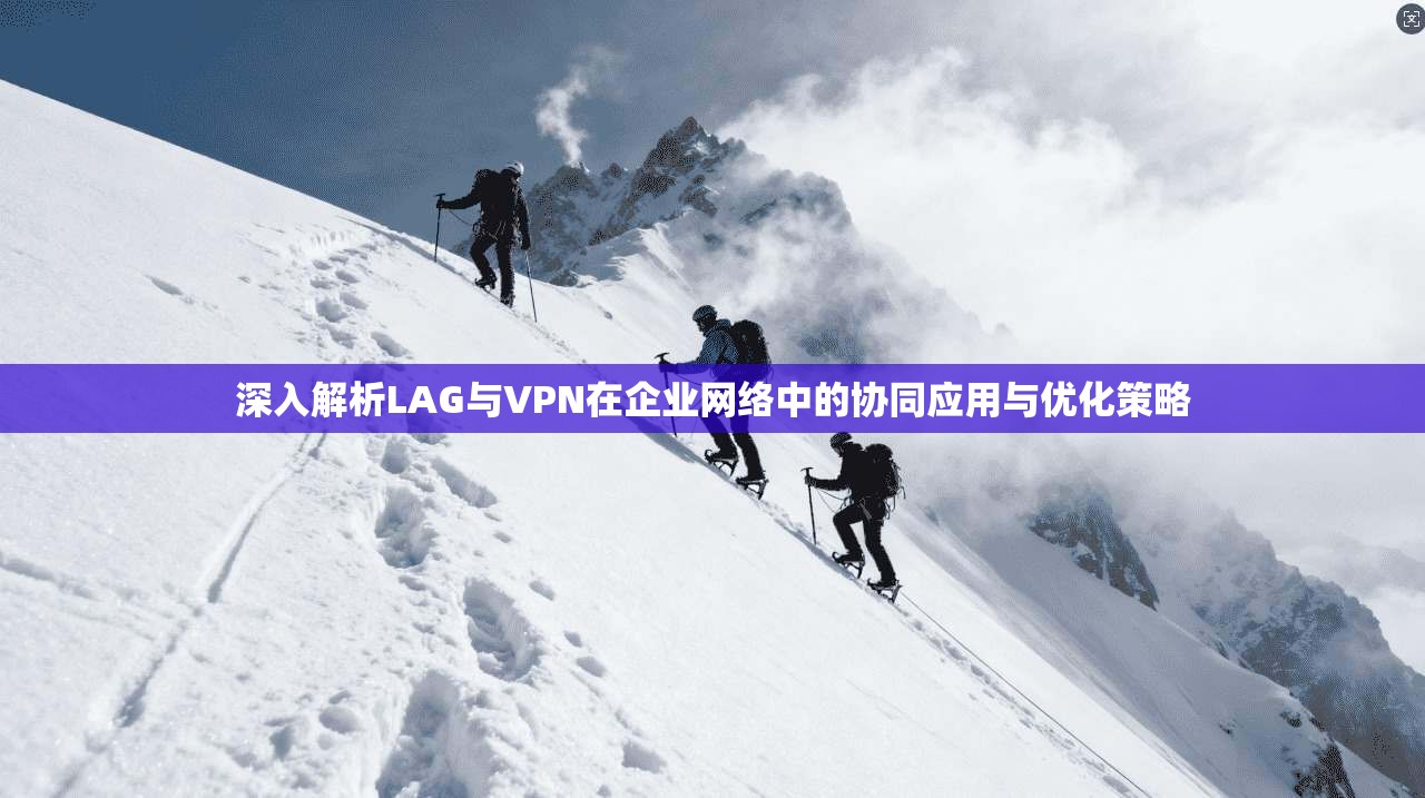 深入解析LAG与VPN在企业网络中的协同应用与优化策略  第1张