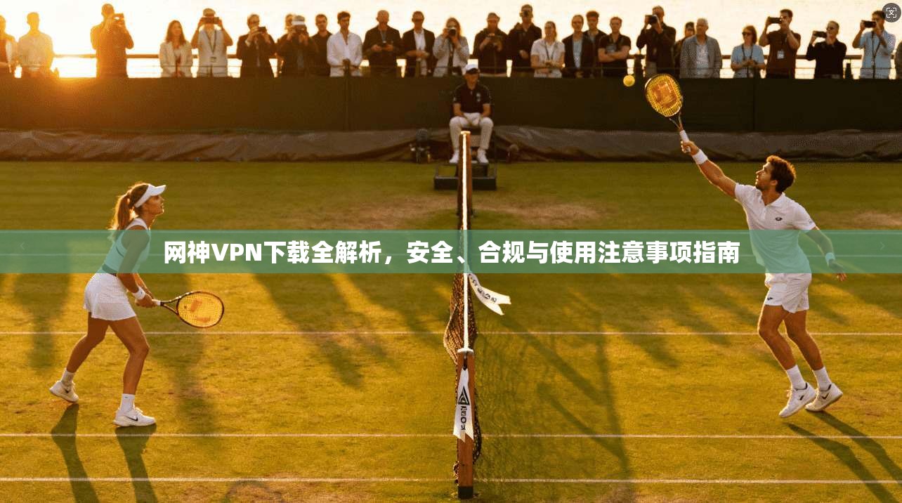 网神VPN下载全解析，安全、合规与使用注意事项指南  第1张