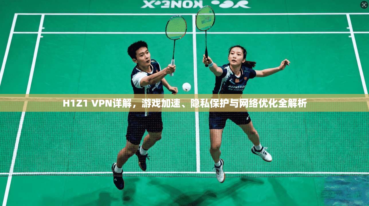 H1Z1 VPN详解,游戏加速、隐私保护与网络优化全解析 第1张 H1Z1 VPN详解,游戏加速、隐私保护与网络优化全解析 第1张