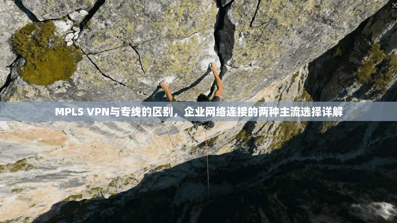MPLS VPN与专线的区别，企业网络连接的两种主流选择详解  第1张