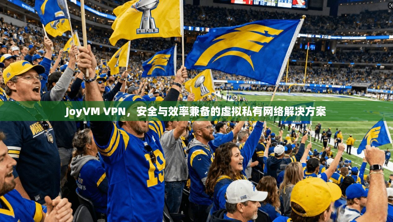 JoyVM VPN，安全与效率兼备的虚拟私有网络解决方案  第1张