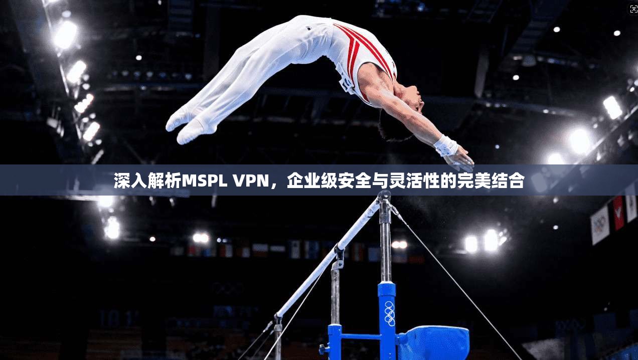 深入解析MSPL VPN,企业级安全与灵活性的完美结合 第1张 深入解析MSPL VPN,企业级安全与灵活性的完美结合 第1张