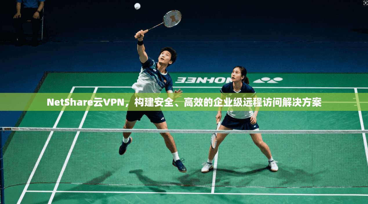 NetShare云VPN，构建安全、高效的企业级远程访问解决方案  第1张