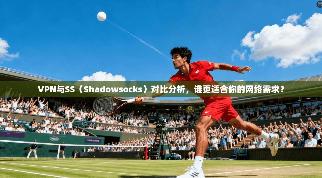 VPN与SS（Shadowsocks）对比分析，谁更适合你的网络需求？  第1张