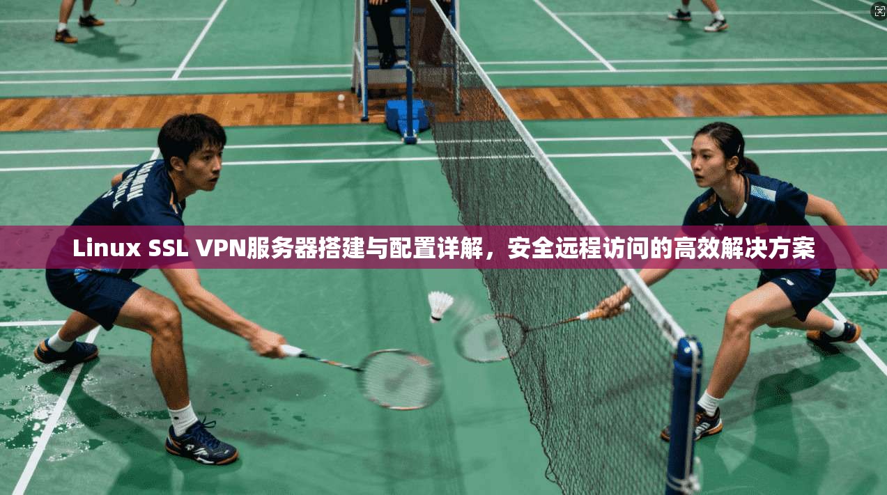 Linux SSL VPN服务器搭建与配置详解，安全远程访问的高效解决方案  第1张