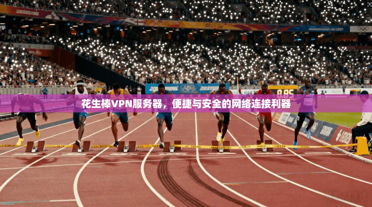 花生棒VPN服务器，便捷与安全的网络连接利器  第1张