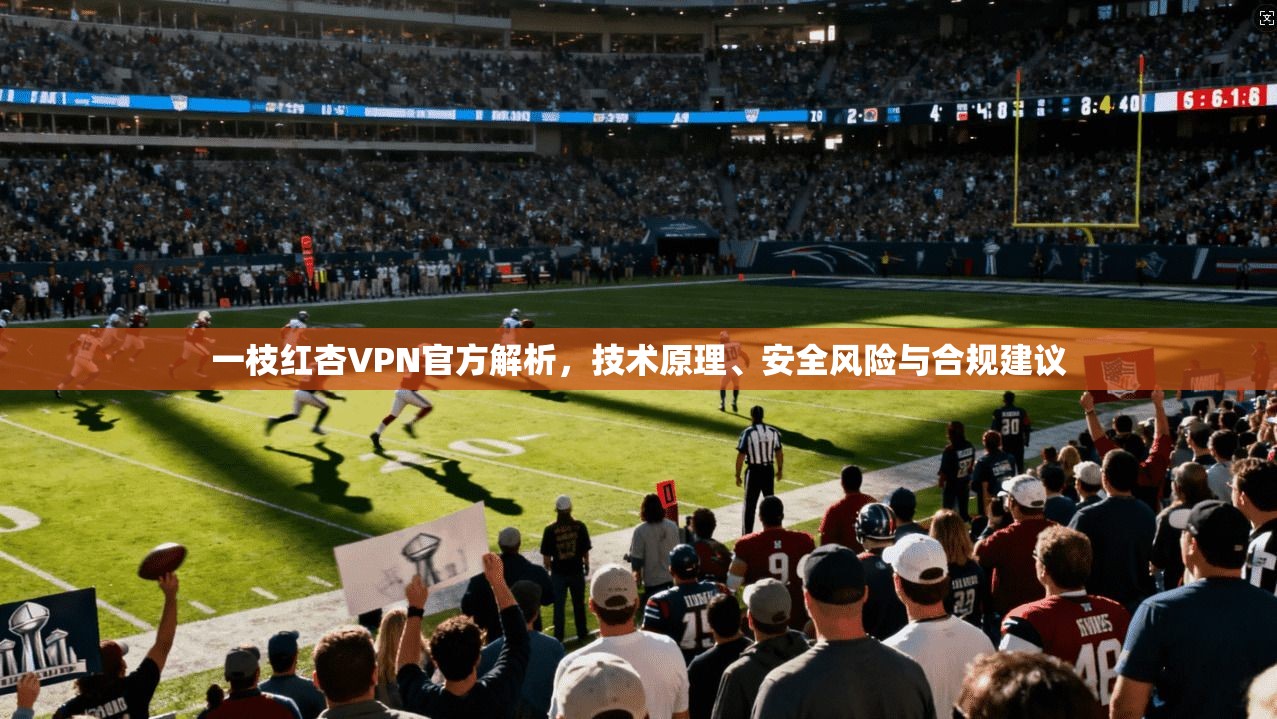 一枝红杏VPN官方解析，技术原理、安全风险与合规建议  第1张