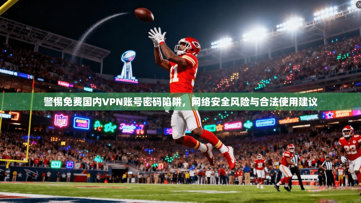 警惕免费国内VPN账号密码陷阱，网络安全风险与合法使用建议  第1张