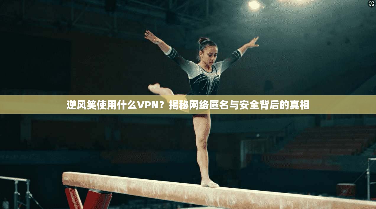 逆风笑使用什么VPN？揭秘网络匿名与安全背后的真相  第1张
