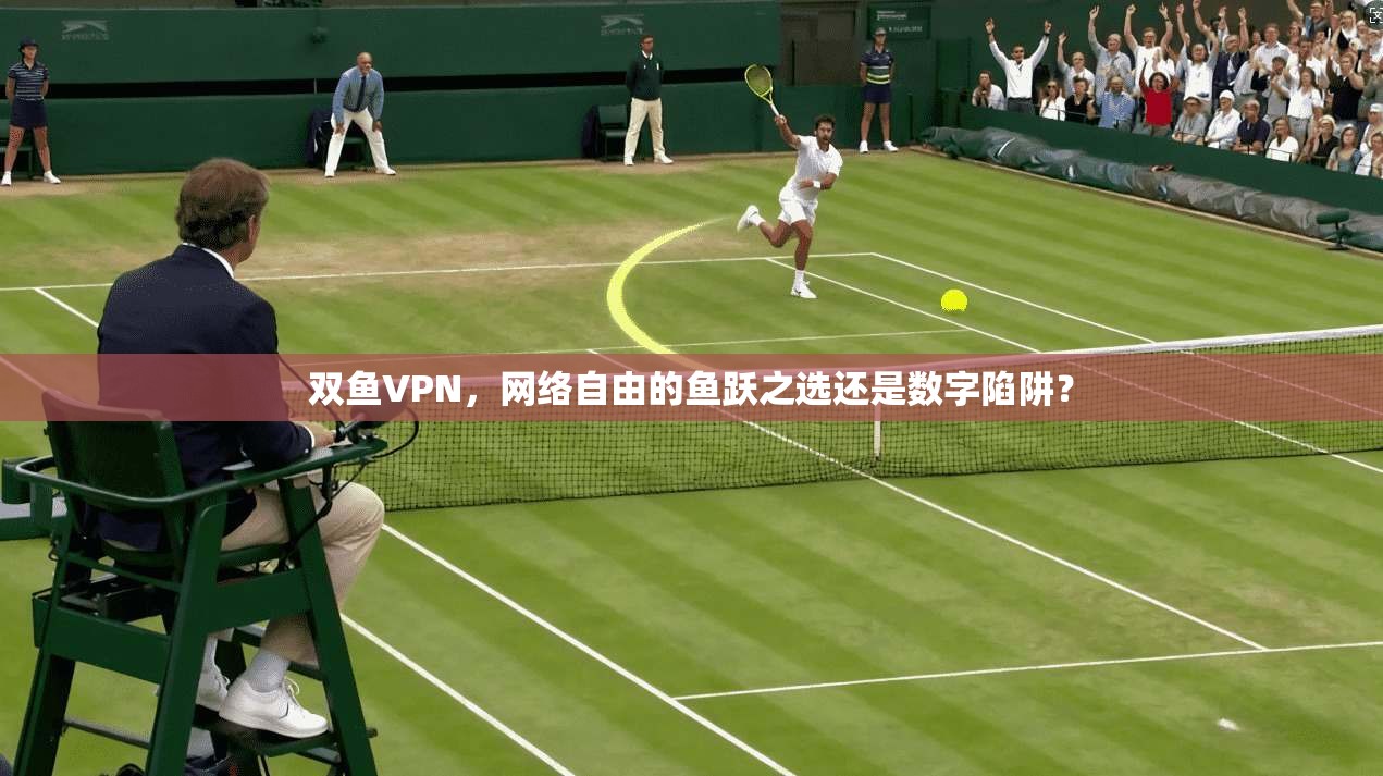 双鱼VPN，网络自由的鱼跃之选还是数字陷阱？  第1张
