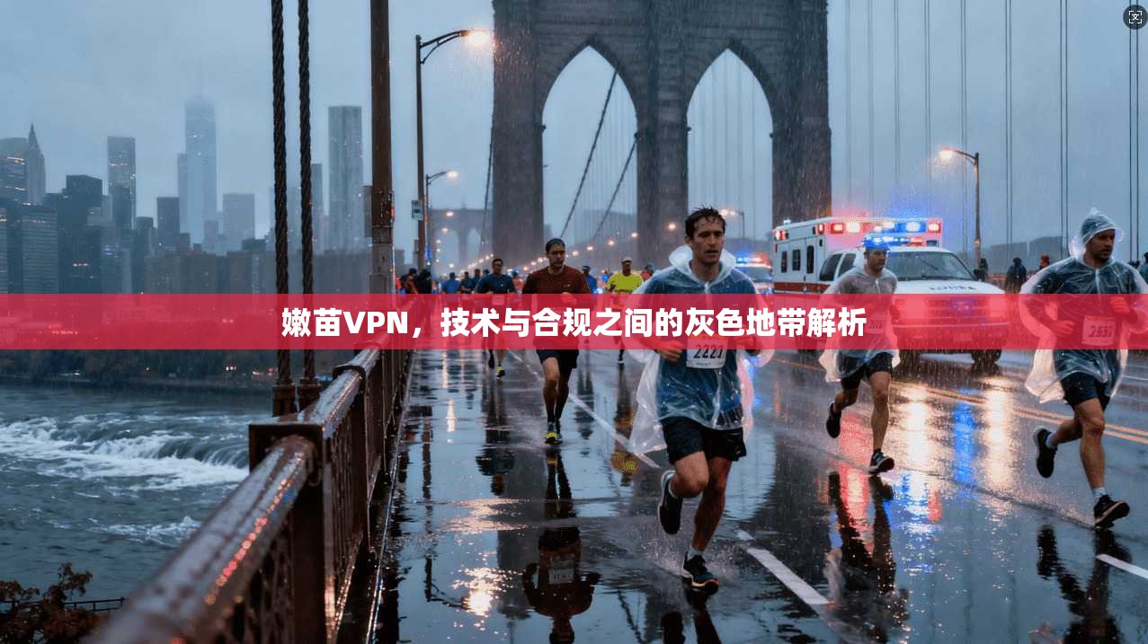 嫩苗VPN，技术与合规之间的灰色地带解析  第1张