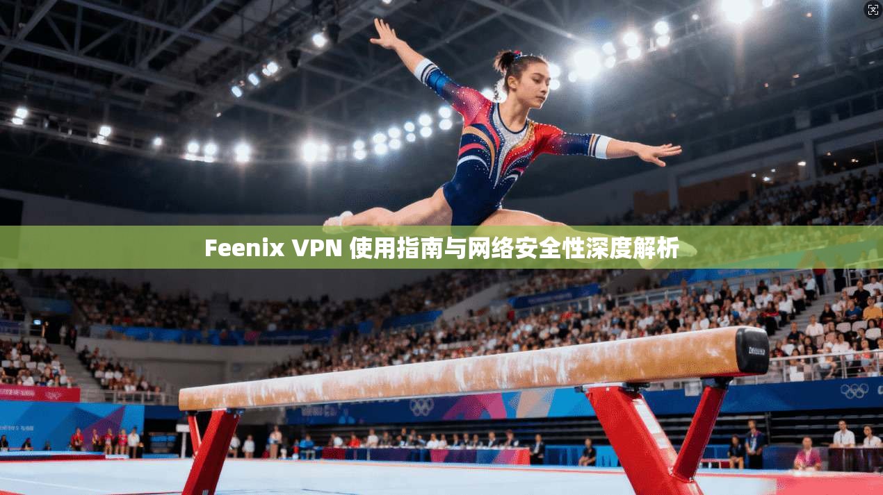 Feenix VPN 使用指南与网络安全性深度解析  第1张
