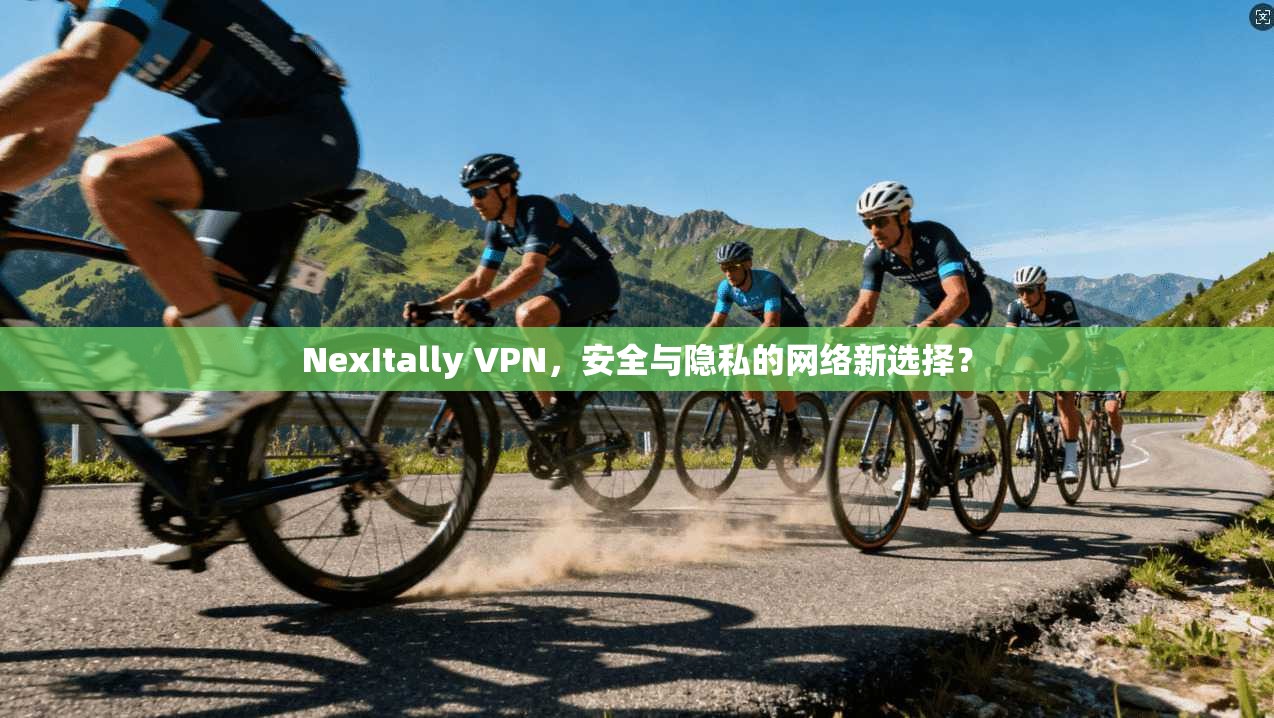 NexItally VPN，安全与隐私的网络新选择？  第1张