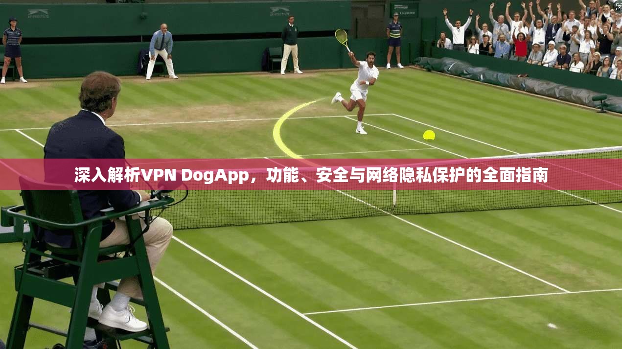 深入解析VPN DogApp，功能、安全与网络隐私保护的全面指南  第1张
