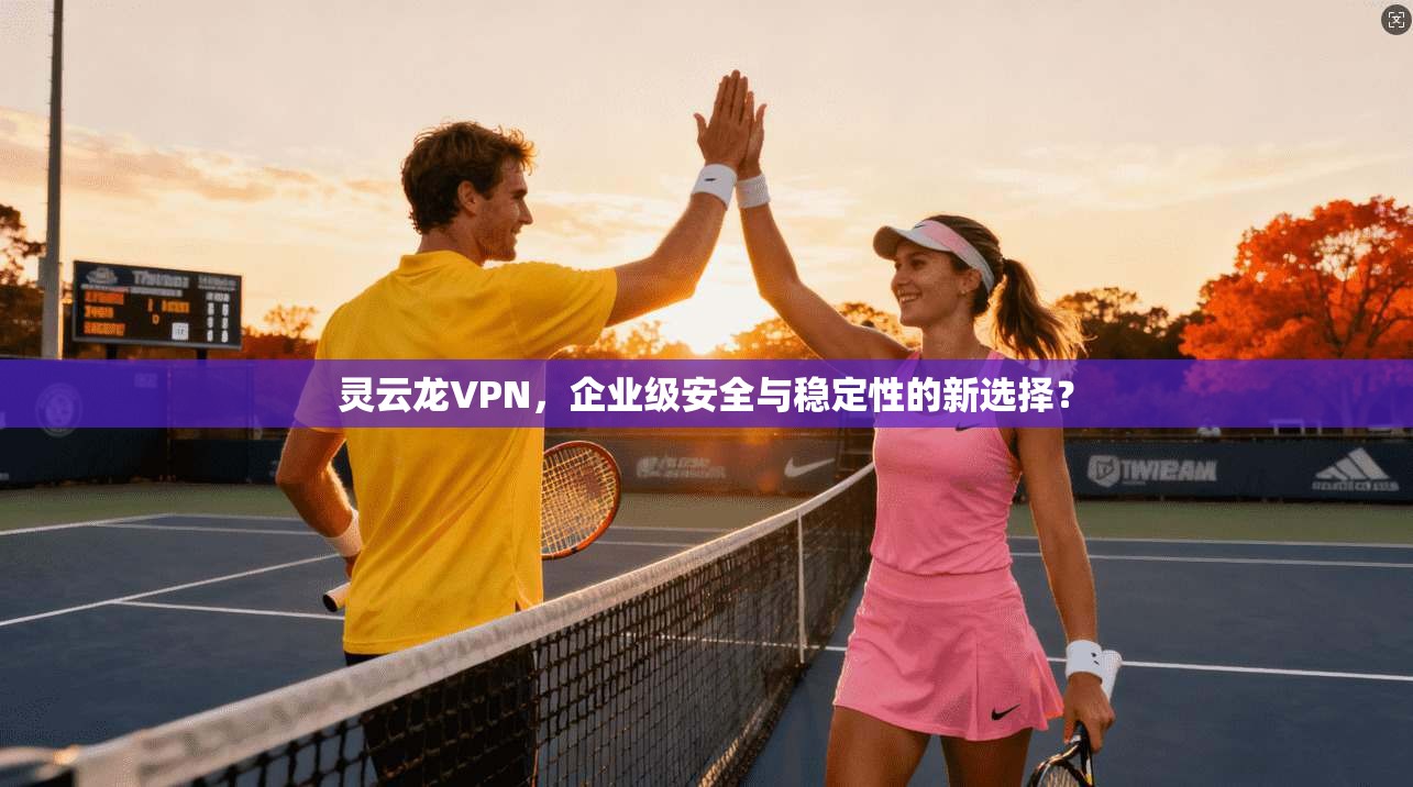 灵云龙VPN，企业级安全与稳定性的新选择？  第1张