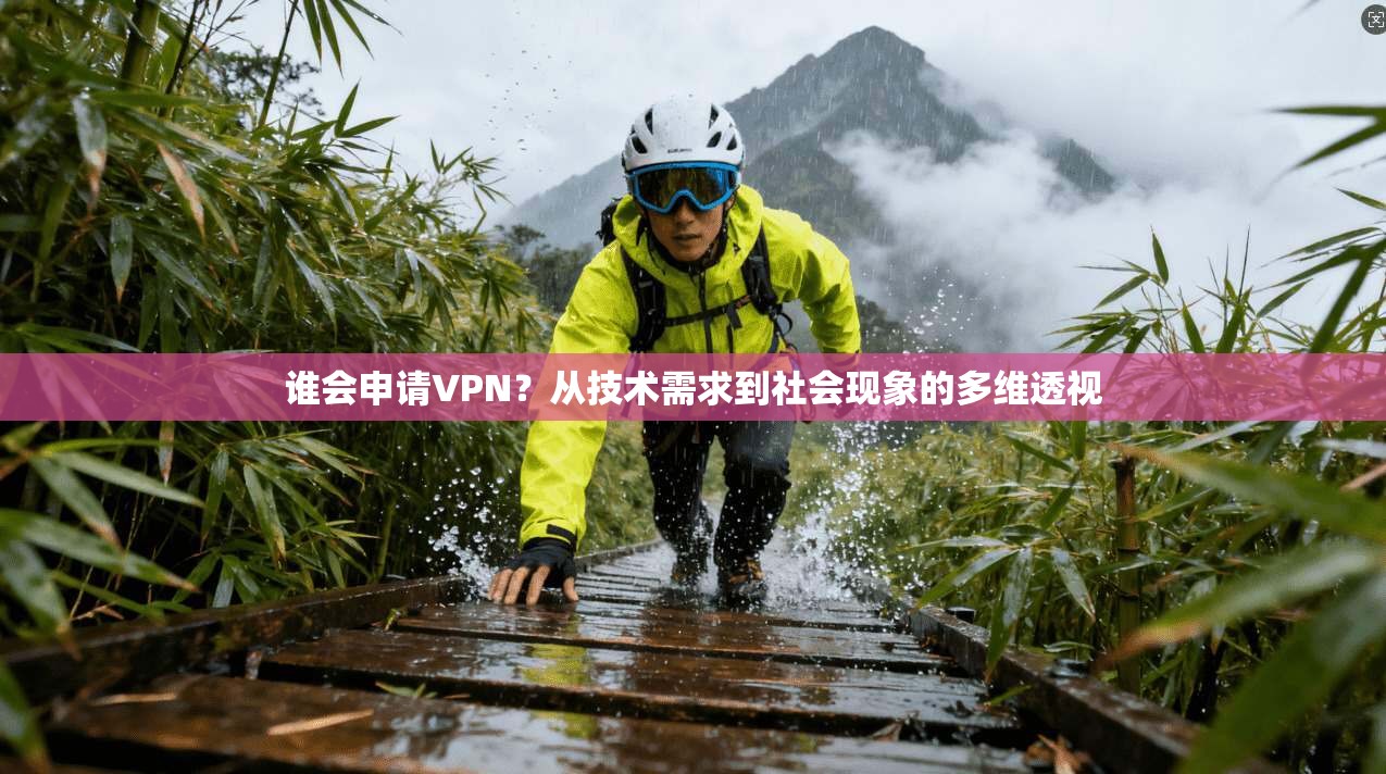 谁会申请VPN？从技术需求到社会现象的多维透视  第1张