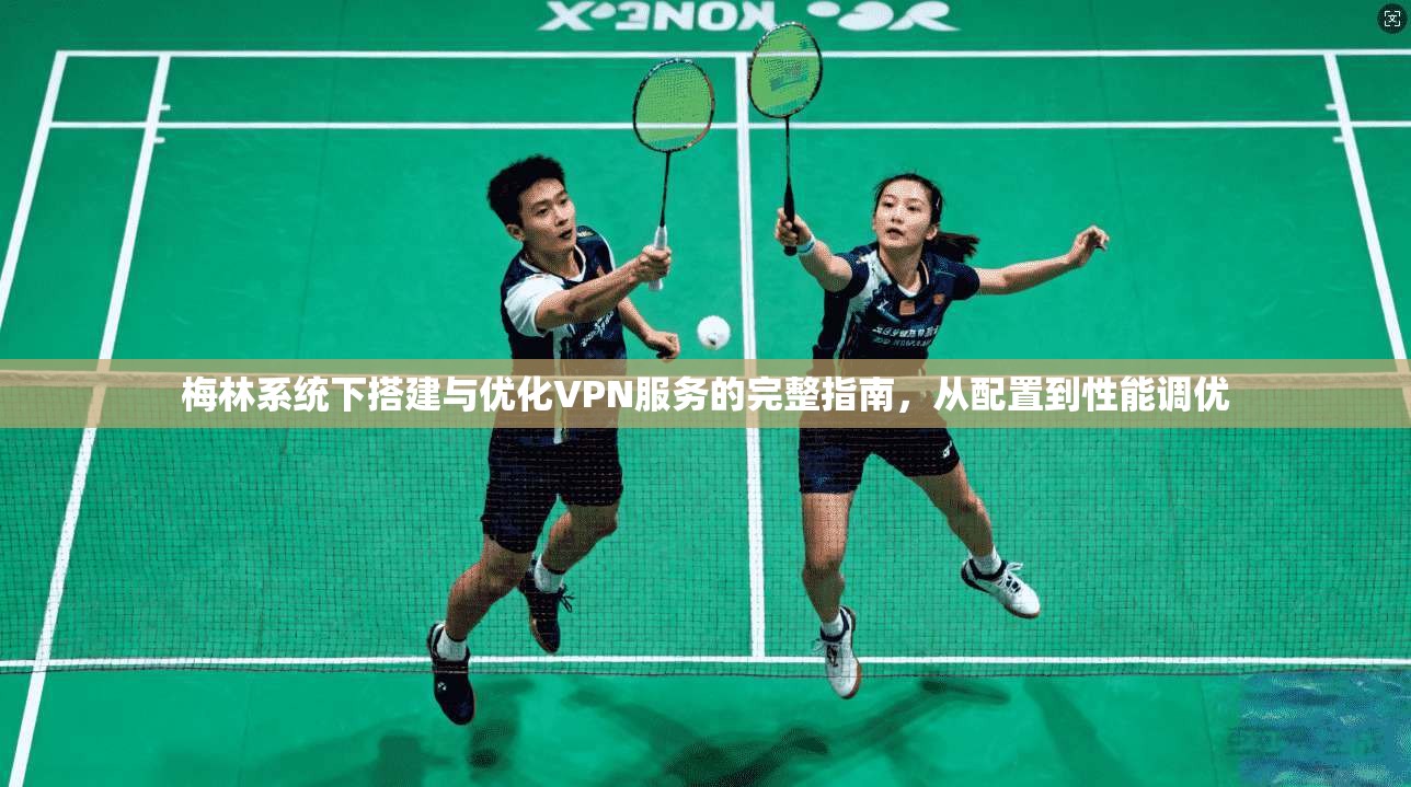 梅林系统下搭建与优化VPN服务的完整指南，从配置到性能调优  第1张