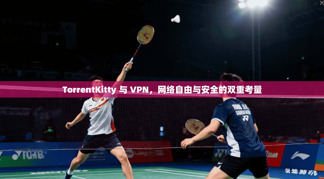 TorrentKitty 与 VPN，网络自由与安全的双重考量  第1张
