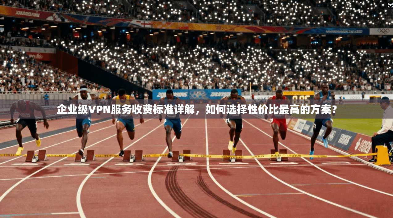 企业级VPN服务收费标准详解，如何选择性价比最高的方案？  第1张