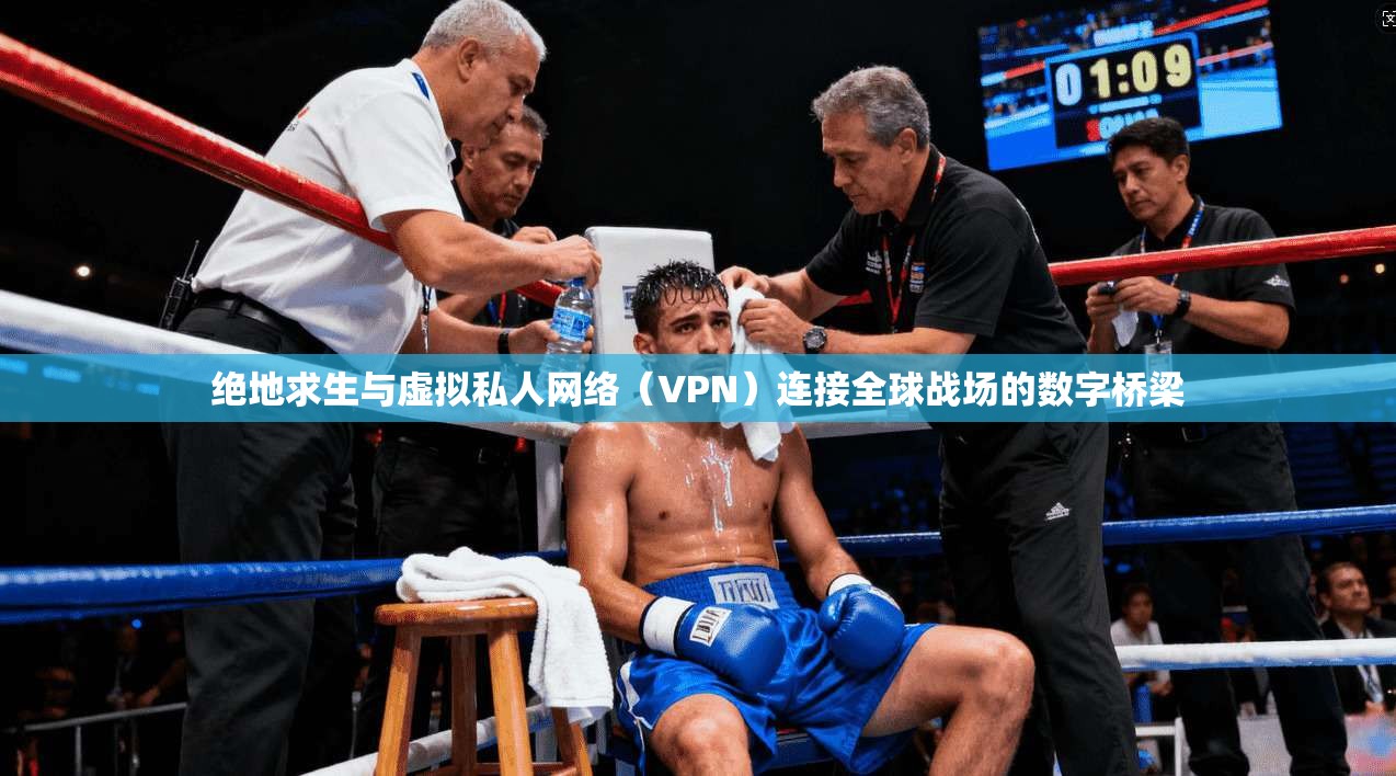绝地求生与虚拟私人网络（VPN）连接全球战场的数字桥梁  第1张
