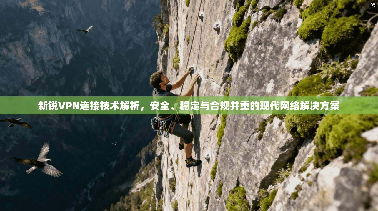 新锐VPN连接技术解析，安全、稳定与合规并重的现代网络解决方案  第1张