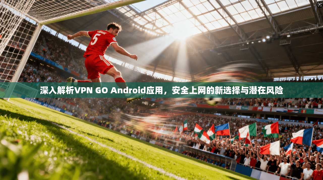 深入解析VPN GO Android应用，安全上网的新选择与潜在风险  第1张