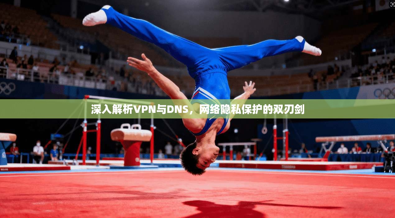 深入解析VPN与DNS，网络隐私保护的双刃剑  第1张