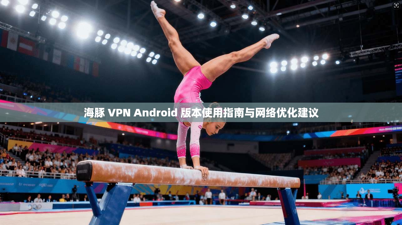 海豚 VPN Android 版本使用指南与网络优化建议  第1张