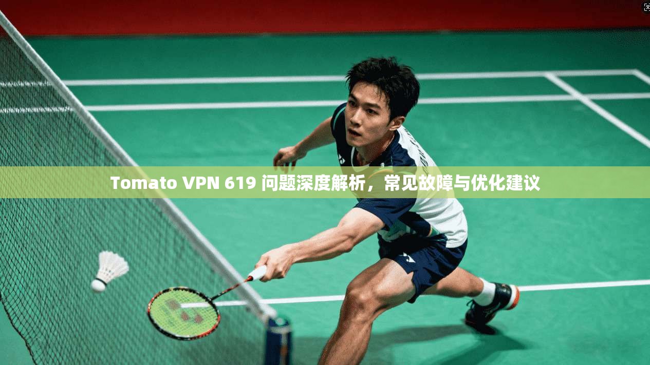 Tomato VPN 619 问题深度解析,常见故障与优化建议 第1张 Tomato VPN 619 问题深度解析,常见故障与优化建议 第1张