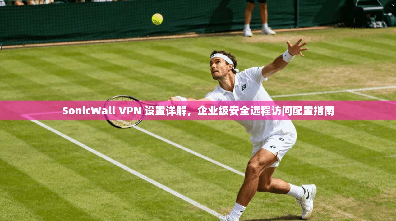 SonicWall VPN 设置详解，企业级安全远程访问配置指南  第1张