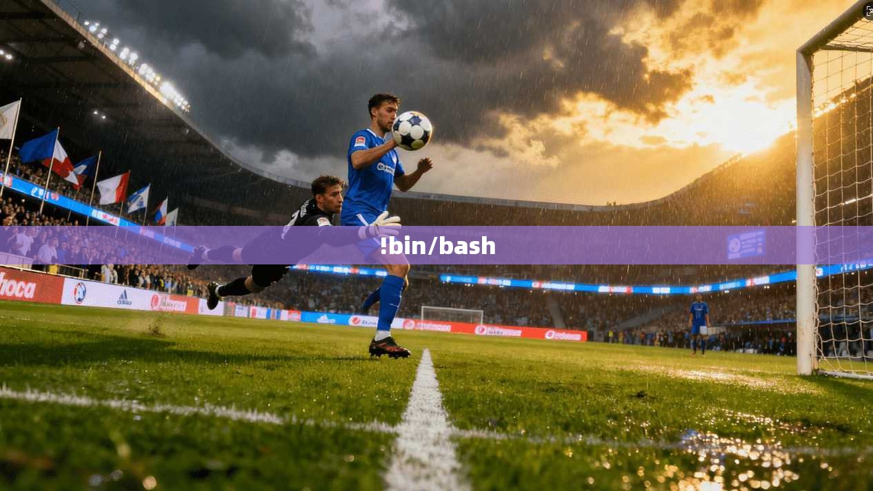 !bin/bash  第1张
