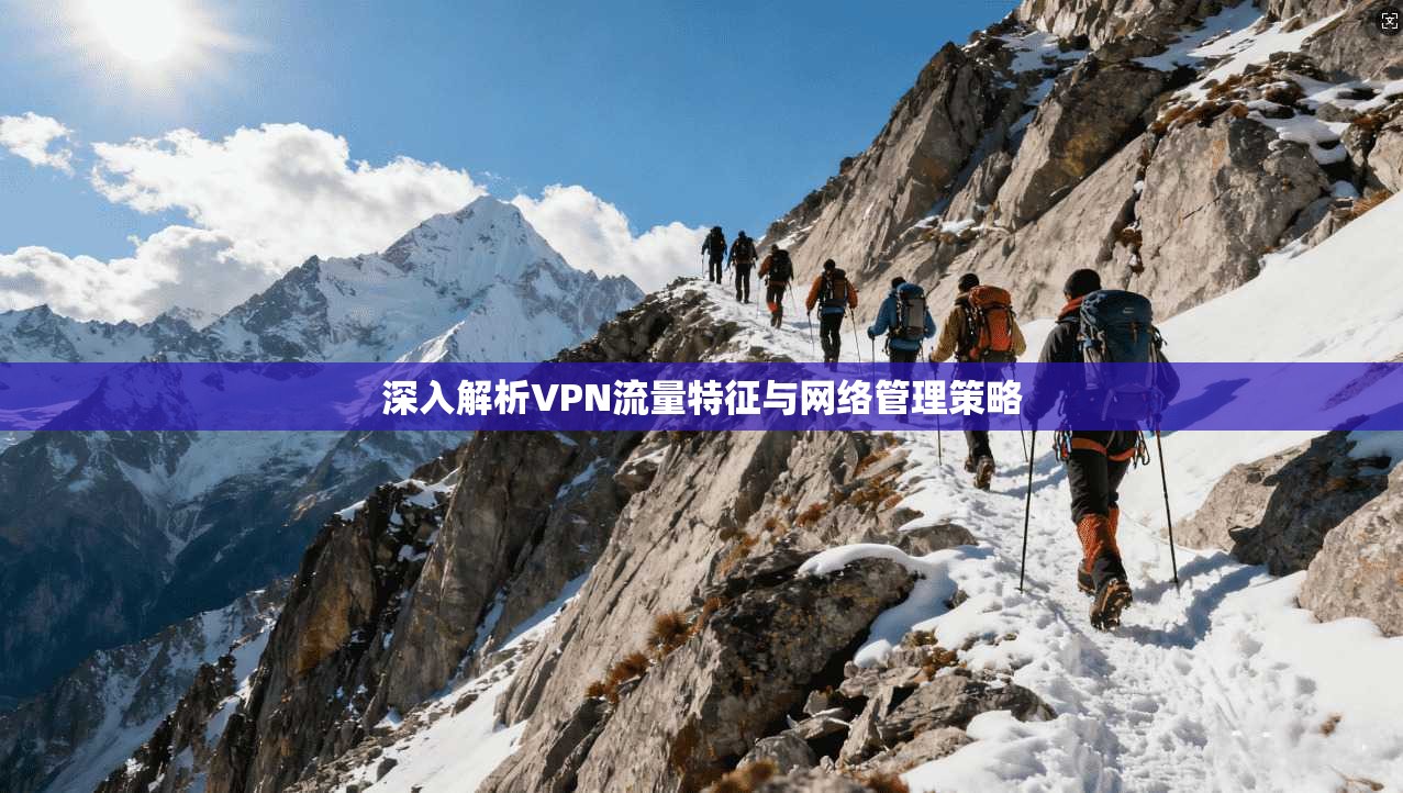 深入解析VPN流量特征与网络管理策略  第1张