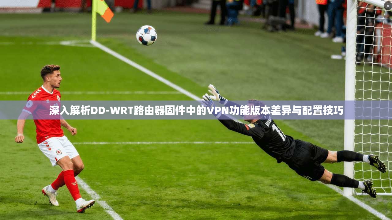 深入解析DD-WRT路由器固件中的VPN功能版本差异与配置技巧  第1张