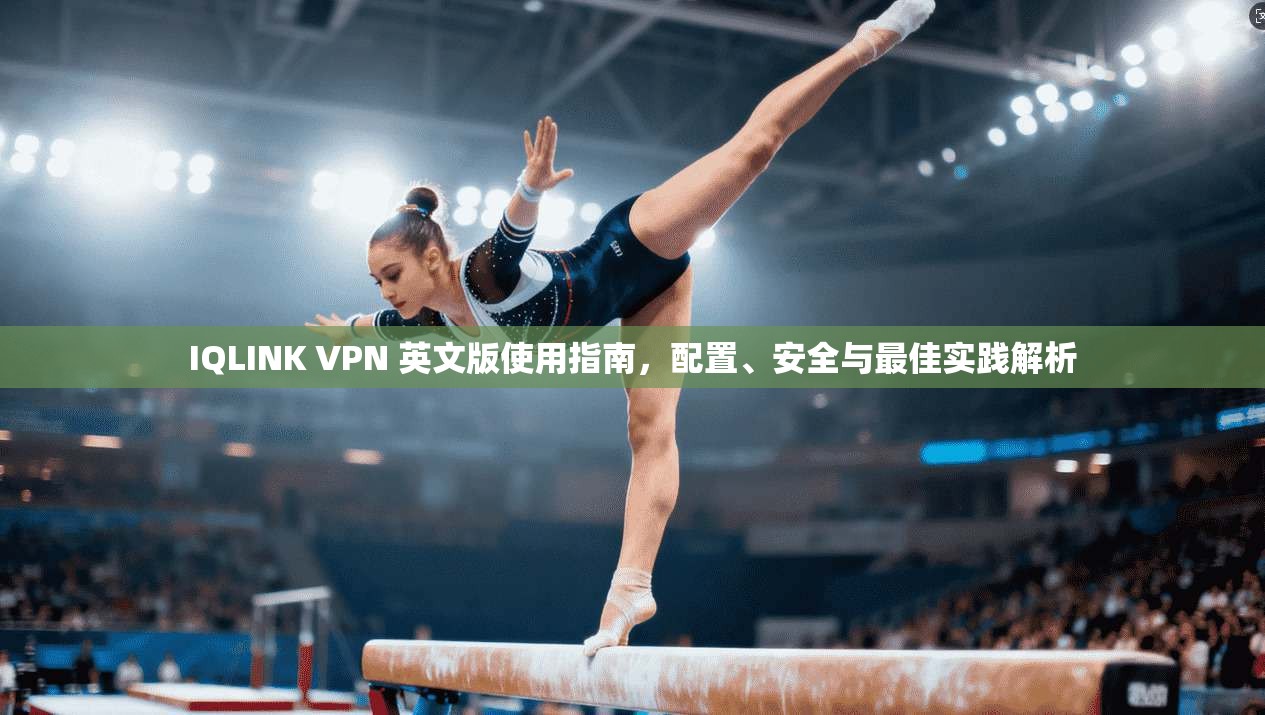 IQLINK VPN 英文版使用指南，配置、安全与最佳实践解析  第1张