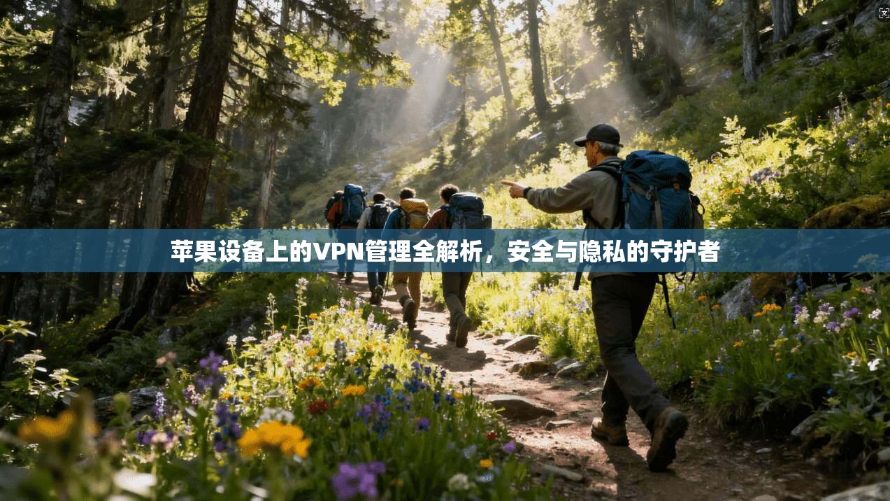 苹果设备上的VPN管理全解析，安全与隐私的守护者  第1张